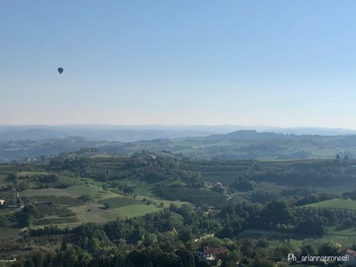 “Mondovì in Green", la proposta dell'associazione Mondovì in Grande per scoprire le bellezze del territorio “Mondovì in Green", la proposta dell'associazione Mondovì in Grande per scoprire le bellezze del territorio
