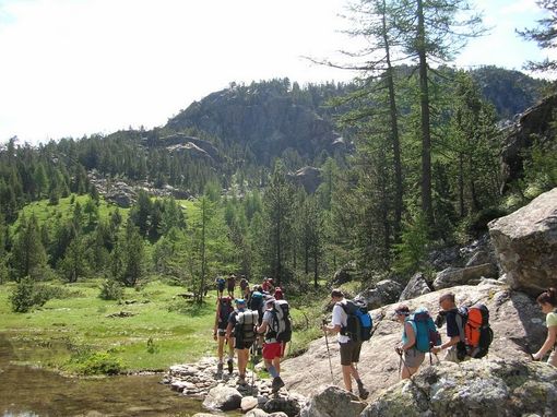 Immagine di repertorio