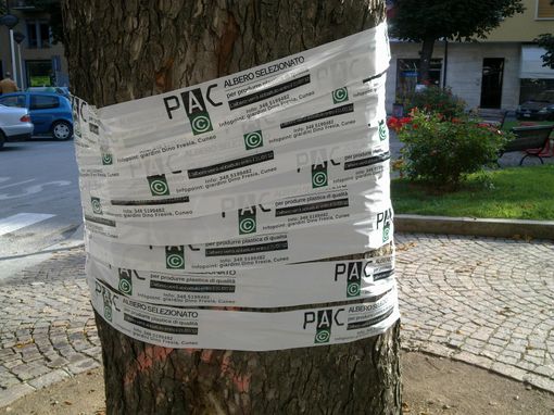 copyright targatocn.it