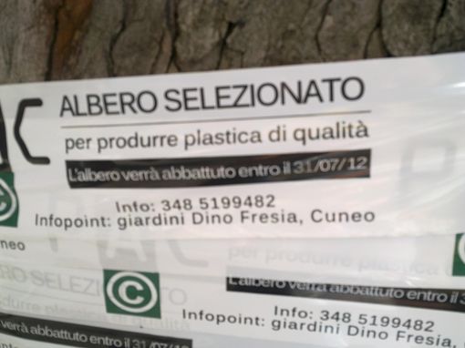 Aliment(e)azione per Zooart ha centrato l'obiettivo: coscienza civica dei cuneesi testata! Aliment(e)azione per Zooart ha centrato l'obiettivo: coscienza civica dei cuneesi testata!