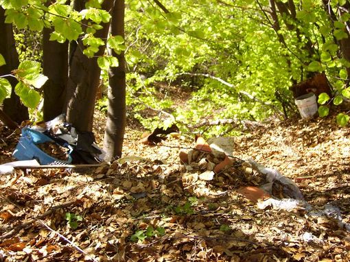 Segnalata discarica abusiva nel bosco vicino a Viola St Grèe Segnalata discarica abusiva nel bosco vicino a Viola St Grèe