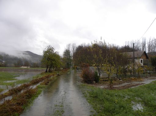 Nel fotoservizio di Annelise Beccaria l'esondazione di un rio a Bagnasco, una casa allagata a Priola e la situazione del Tanaro a Garessio