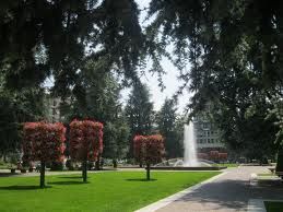 Sospensione viabilità di Piazza europa a Cuneo