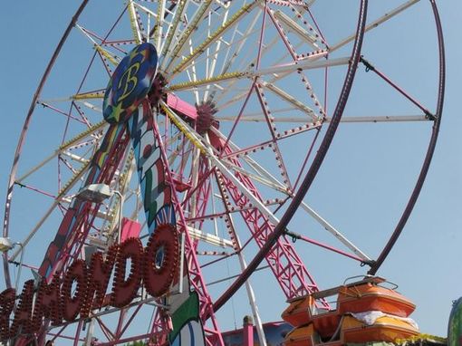 Foto generica Foto generica