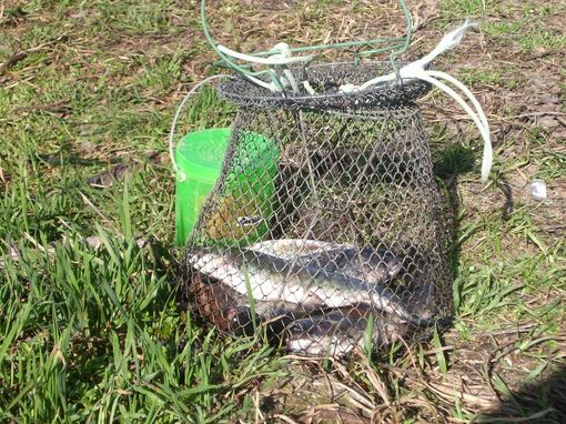 Cuneese: zone turistiche di pesca, approvato il regolamento di gestione