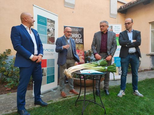 Il porro di Cervere confermato nei menù delle aziende ospedaliere srvite da Amos