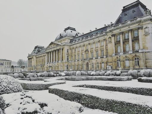 Alla scoperta della magia invernale di Bruxelles: una guida completa per i viaggiatori