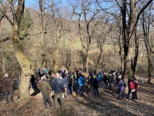 Uno dei gruppi in visita al castagneto tradizionale a Caraglio per le prove in campo organizzate da Confagricoltura