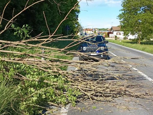 Vento forte con raffiche sino a 75 km/h in diverse zone della provincia. Numerosi gli interventi dei Vigili del fuoco per la caduta di alberi e rami Vento forte con raffiche sino a 75 km/h in diverse zone della provincia. Numerosi gli interventi dei Vigili del fuoco per la caduta di alberi e rami