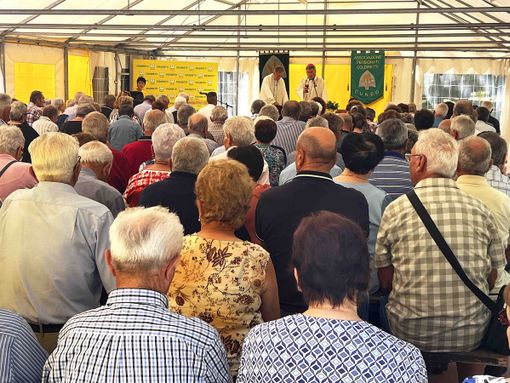 Coldiretti Cuneo, pensionati cuneesi attivi in quasi un'azienda agricola su tre