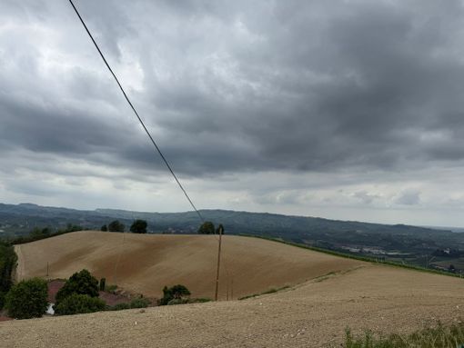 L'area in cui saranno innestati gli ulivi, nei pressi di Santa Rosalia