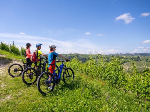 Credito Langhe Experience