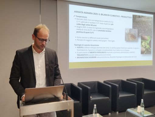 Ieri ad Alba l'incontro promosso, tra gli altri, da Camera di Commercio di Cuneo, Ente Fiera della Nocciola e Agrion. Nella foto Lorenzo Brigante, responsabile sezione corilicola Fondazione Agrion Ieri ad Alba l'incontro promosso, tra gli altri, da Camera di Commercio di Cuneo, Ente Fiera della Nocciola e Agrion. Nella foto Lorenzo Brigante, responsabile sezione corilicola Fondazione Agrion