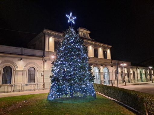 La magnolia della stazione si illumina: il Natale arriva a Bra