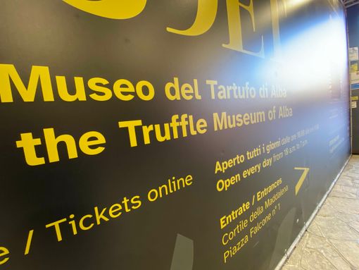 Bolla: "Il Museo del Tartufo di Alba chiude mentre la cerca è ancora aperta. Il Comune si è arreso, è mancato il coraggio"