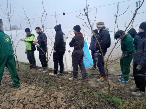 Dalla potatura al futuro: la Scuola Agraria di Grinzane coltiva le competenze delle nuove generazioni
