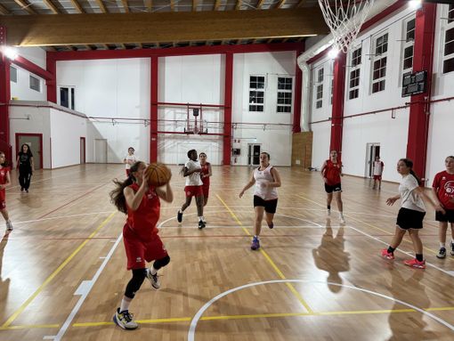 Palestre, spazi e discipline: il Comune riordina lo sport cittadino ad Alba Palestre, spazi e discipline: il Comune riordina lo sport cittadino ad Alba