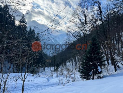 Neve e nuova allerta gialla su tutta la Granda: notte di precipitazioni e accumuli fino in pianura Neve e nuova allerta gialla su tutta la Granda: notte di precipitazioni e accumuli fino in pianura