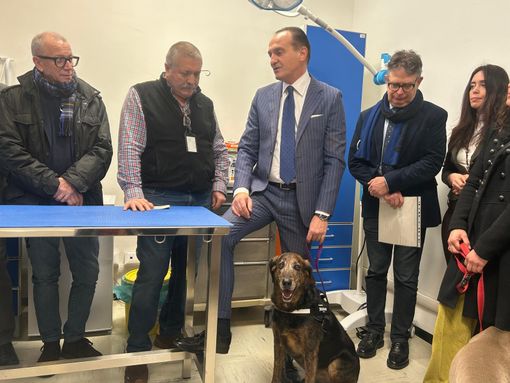 Un momento della presentazione dell'ambulatorio veterinario sociale a gennaio 2025 ad Alba Un momento della presentazione dell'ambulatorio veterinario sociale a gennaio 2025 ad Alba