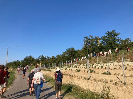 I sentieri del Multimedia Outdoor Museum, inaugurato nelle scorse settimane a Santo Stefano Belbo