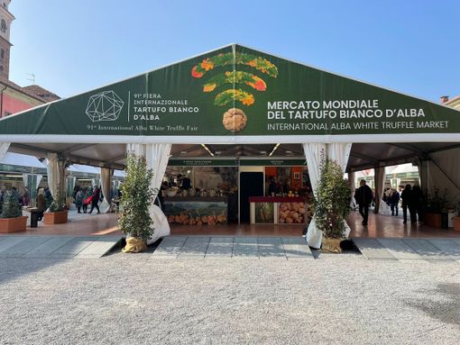 Fiera del Tartufo Bianco d'Alba: la quarta settimana tra sostenibilità e natura