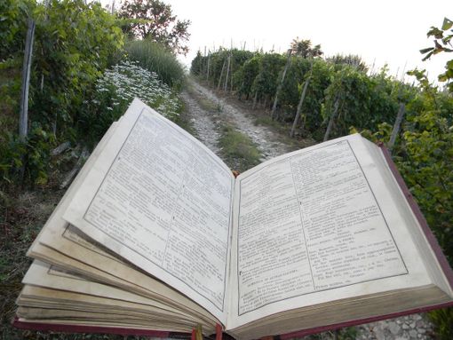 “Pesca un libro” a Canale: un evento, nuovi spazi e prospettive di collettività