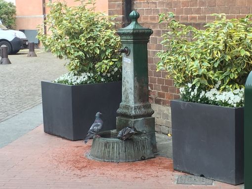 Una delle numerose fontane presenti ad Alba (Foto Gisella Divino)