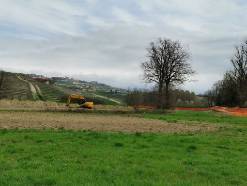 Le ruspe al lavoro in zona Parea nel Comune di Grinzane Cavour Le ruspe al lavoro in zona Parea nel Comune di Grinzane Cavour