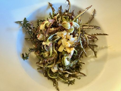 L’insalata di Tarassaco? Venite ad assaggiarla al ristorante Valli di Lanzo a Ceres