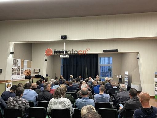 Peste Suina Africana, le Unioni Alta Langa e Cebana richiedono lo stato di emergenza