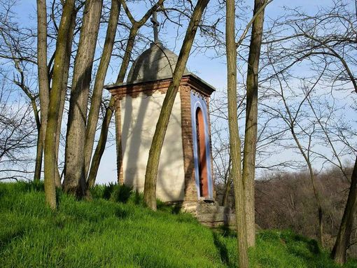 Passeggiata nell'Oasi di San Nicolao, polmone verde del Roero Passeggiata nell'Oasi di San Nicolao, polmone verde del Roero
