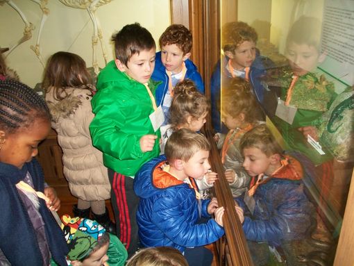 Una domenica in tranquillità e con tante attività nei musei del Parco del Po Cuneese