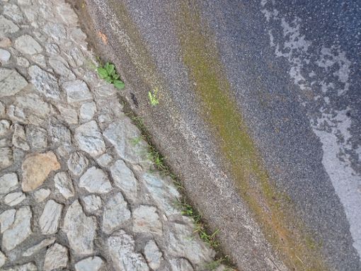 Un dettaglio della perdita d'acqua