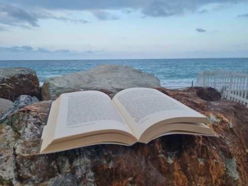Al mare con il Caffè Letterario e "Manuale per signorine in cerca di un marito (ricco)" Al mare con il Caffè Letterario e "Manuale per signorine in cerca di un marito (ricco)"