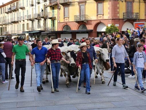 Tutto pronto a Saluzzo per la Rudunà 2025 Tutto pronto a Saluzzo per la Rudunà 2025