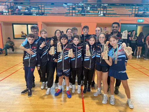 Alba Shuttle a Milano