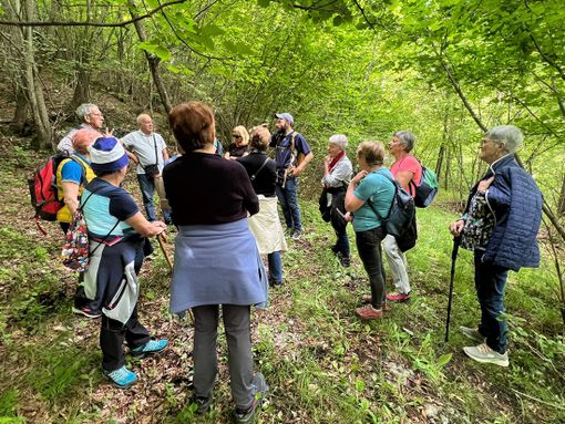 Borgo San Dalmazzo: al via la seconda edizione del progetto "Anziani In-forma"