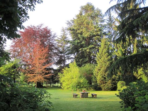 Il parco di villa Oldofredo Tadini