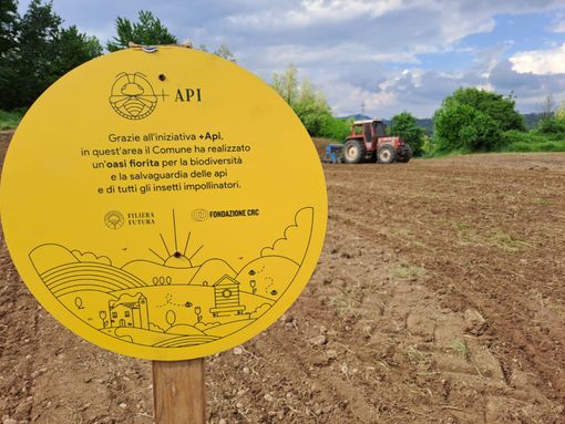 Con il progetto +Api a Piozzo: un’oasi fiorita per la biodiversità Con il progetto +Api a Piozzo: un’oasi fiorita per la biodiversità