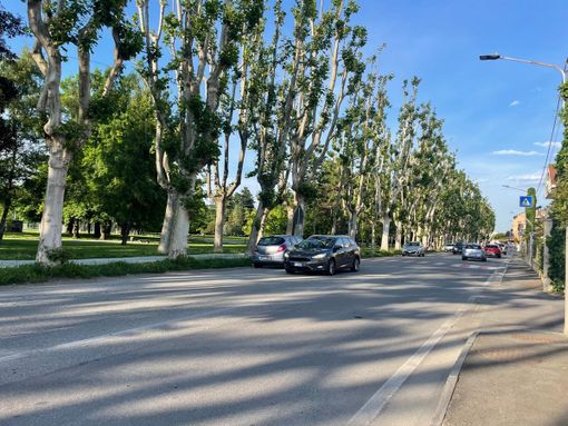 Il traffico su viale Piave a Savigliano