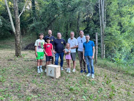 Un gufo torna a volare: natura e istituzioni insieme per il territorio Un gufo torna a volare: natura e istituzioni insieme per il territorio