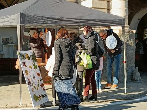 Il Comitato Alberi di Saluzzo celebra la natura insieme ai bambini delle scuole dell’infanzia con incontri, laboratori ed esposizione in piazza