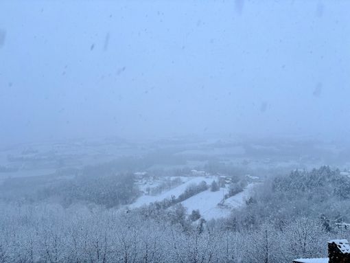 Immagine di repertorio