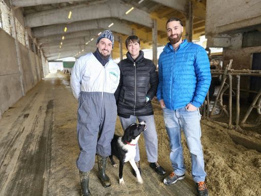 STORIE DI MONTAGNA 202 / Tre fratelli, una scelta di ritorno e un'azienda che è casa