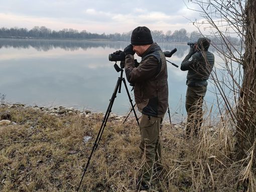 Ci sono 15 specie diverse di uccelli acquatici nel Parco del Monviso