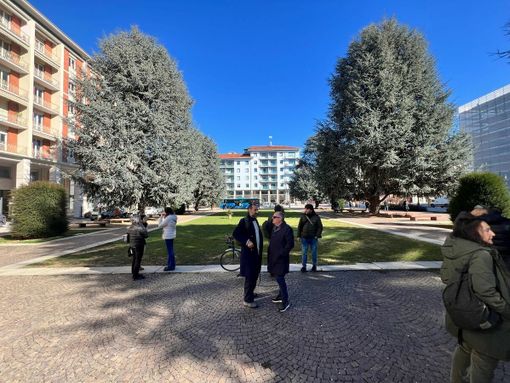 Con i cedri e senza riqualificazione: piazza Europa resta così Con i cedri e senza riqualificazione: piazza Europa resta così