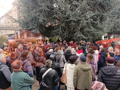 Cedri di piazza Europa, il Consiglio di Stato riapre (o chiude) la partita: pietra tombale sul progetto?