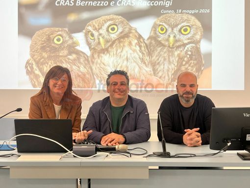Da sinistra Gabriella Vaschetti, Matteo Attolico e Federico Pellegrino Da sinistra Gabriella Vaschetti, Matteo Attolico e Federico Pellegrino