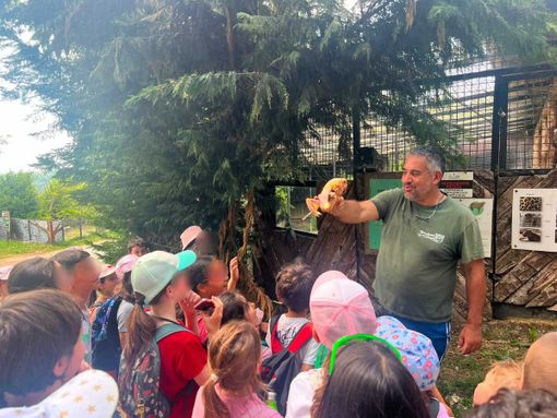 Piano estate della Scuola Primaria di Sale delle Langhe: una giornata di scoperte e meraviglia al Parco Safari di Murazzano Piano estate della Scuola Primaria di Sale delle Langhe: una giornata di scoperte e meraviglia al Parco Safari di Murazzano
