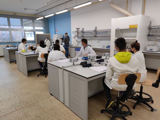 La specializzazione di BIOTECNOLOGIE SANITARIE La specializzazione di BIOTECNOLOGIE SANITARIE